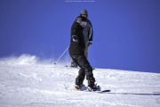 DSC5779
