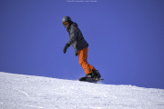 DSC5990