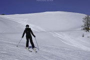 DSC5185