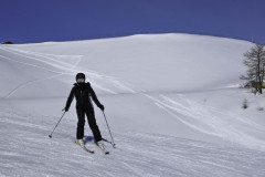 DSC5185