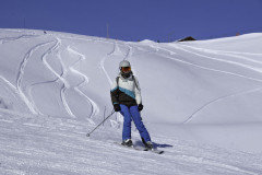 DSC5193
