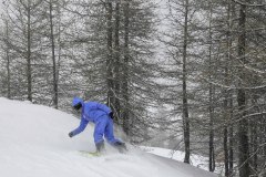 S9 - MATIN - SNOWBOARD DEBUTANT